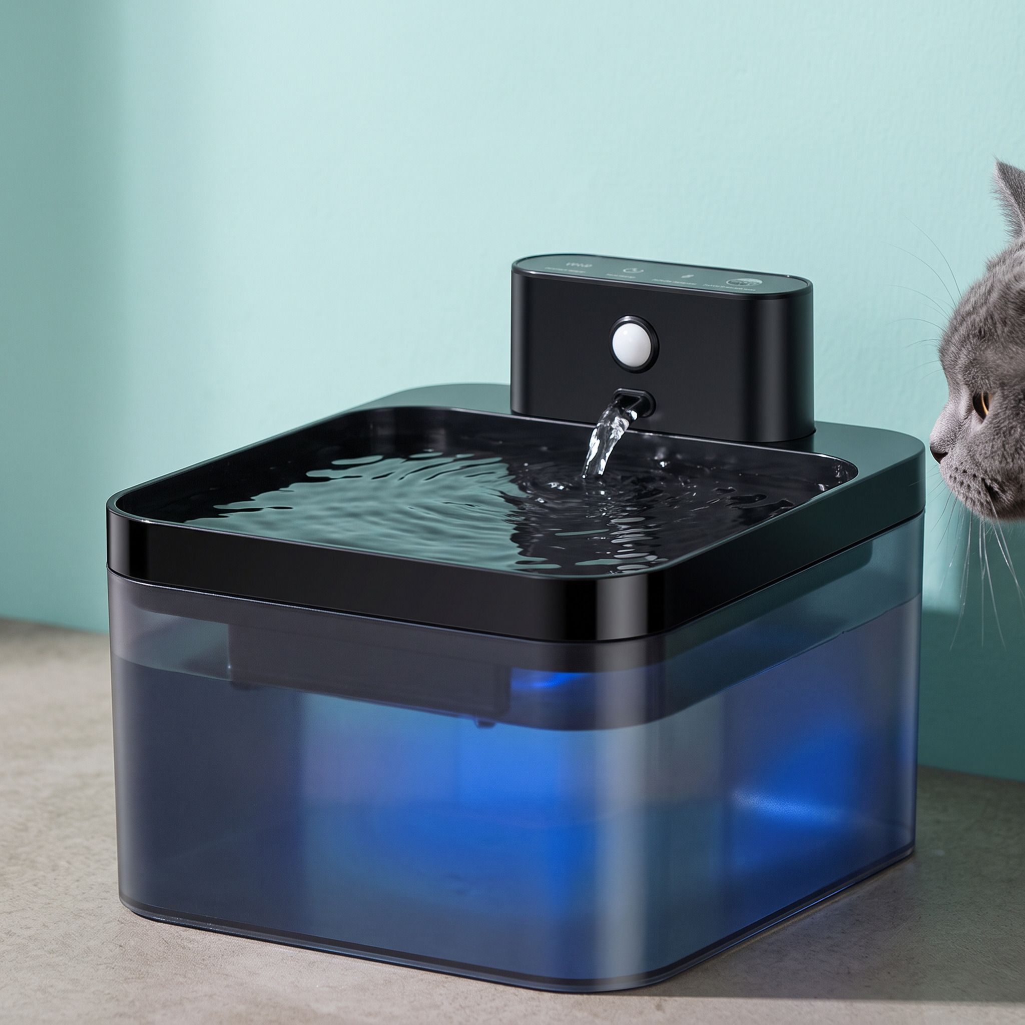 Filter insert and black sponge shown separately