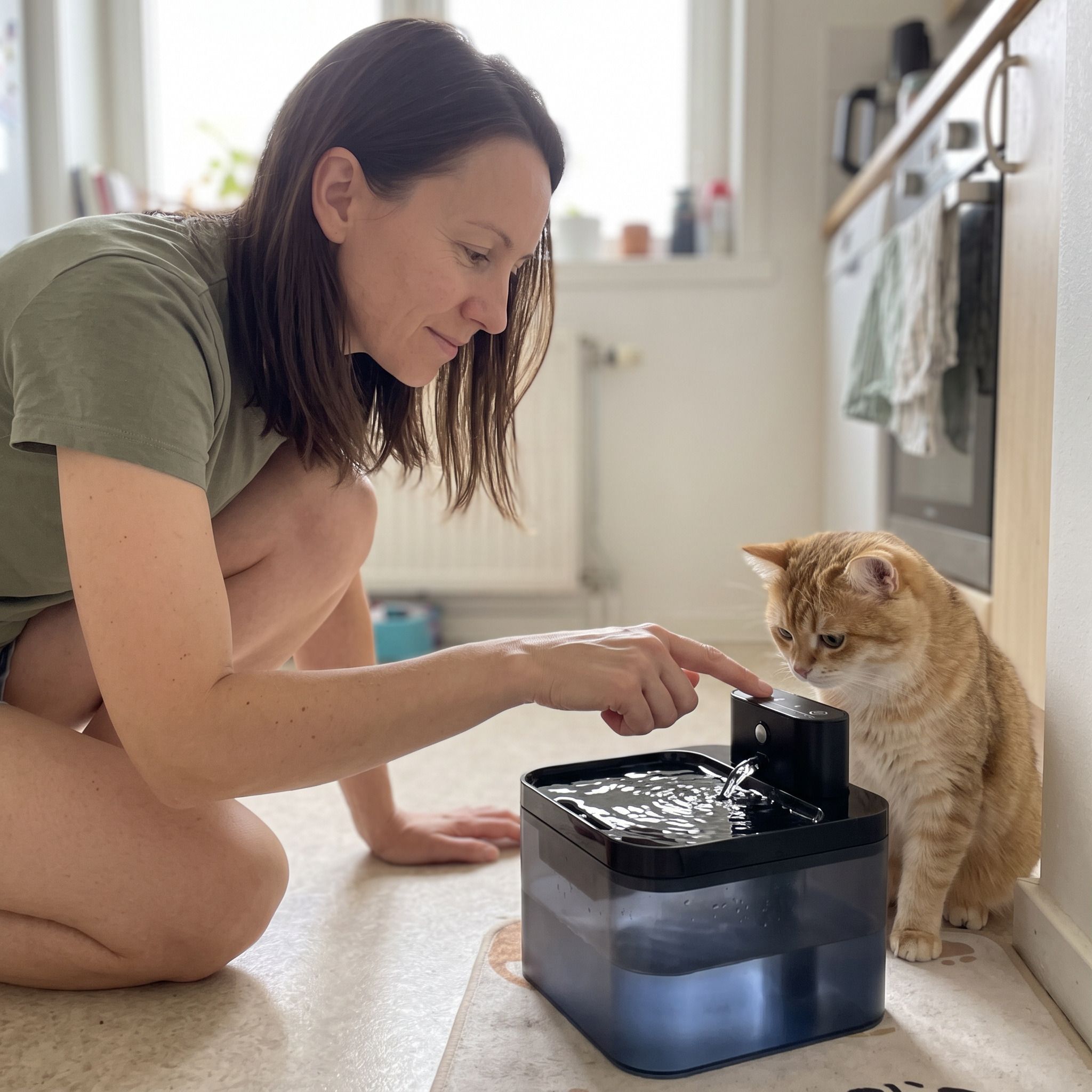 Pawbrook fountain in a lived-in home with a cat or small dog