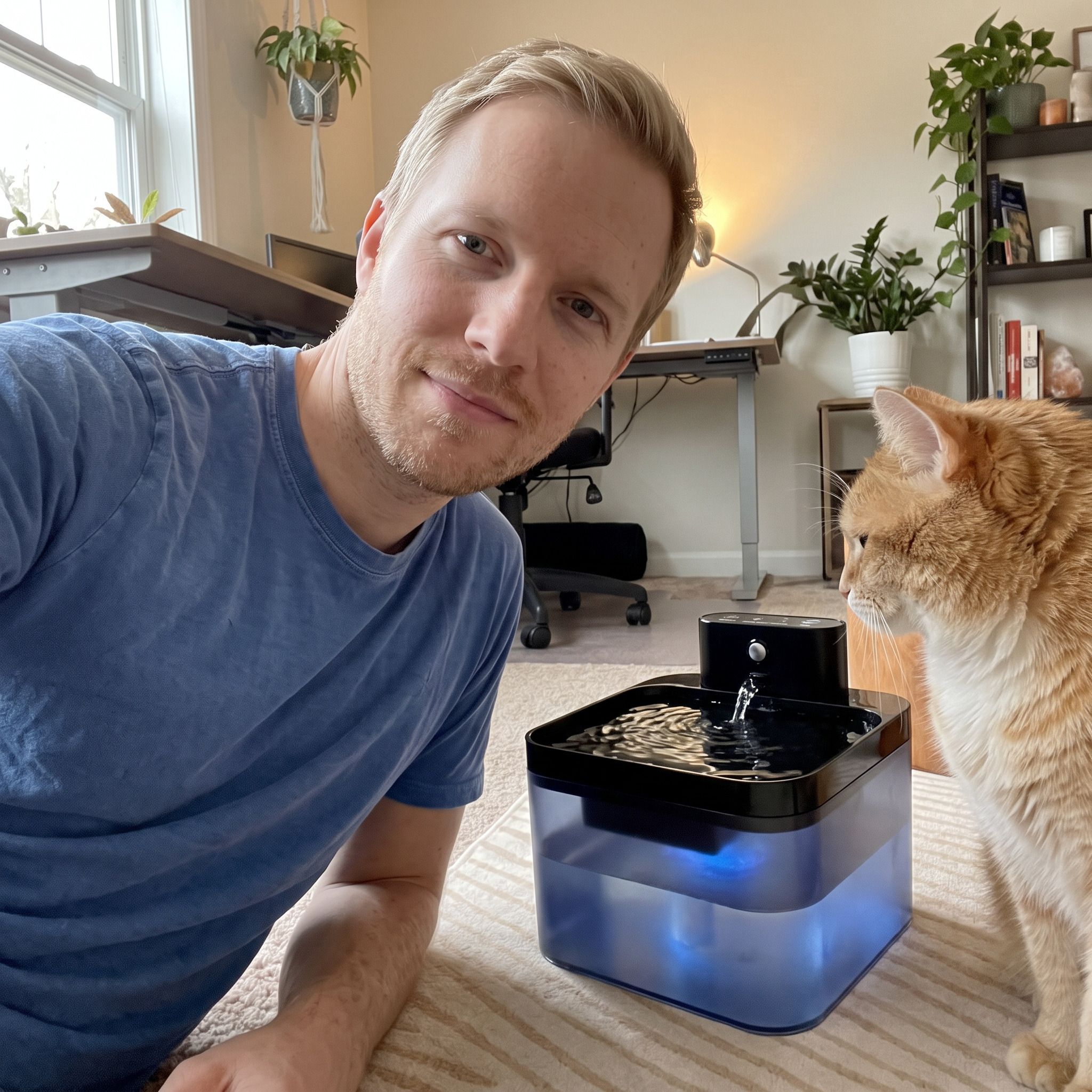 Pawbrook fountain in a lived-in home with a cat or small dog