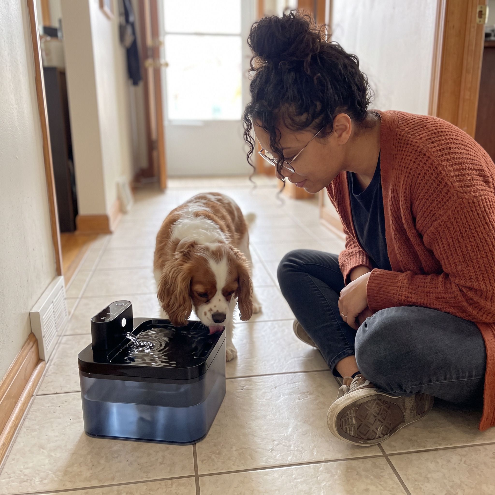 Pawbrook fountain in a lived-in home with a cat or small dog